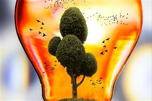Brilliant amber light bulb with an image of a tree and birds inside