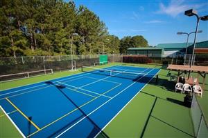 Pickleball Court